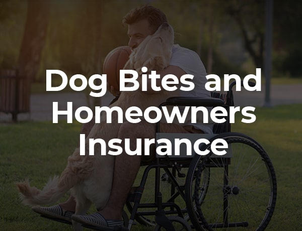 Dog Bites and Homeowner Insurance